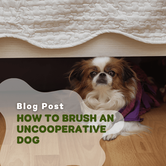 How To Brush An Uncooperative Dog