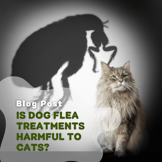 Is Dog Flea Treatment Harmful To Cats?