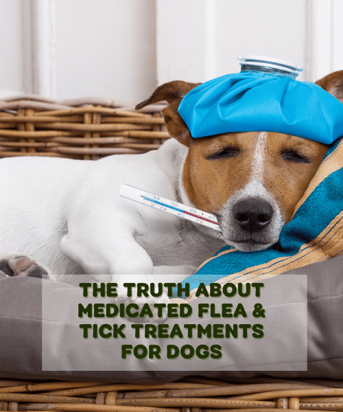 What is Medicated Flea and Tick Treatments for Dogs
