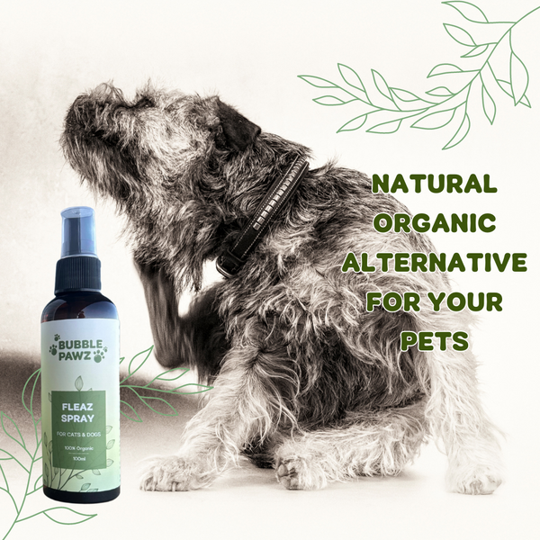 Organic flea spray for dogs hotsell