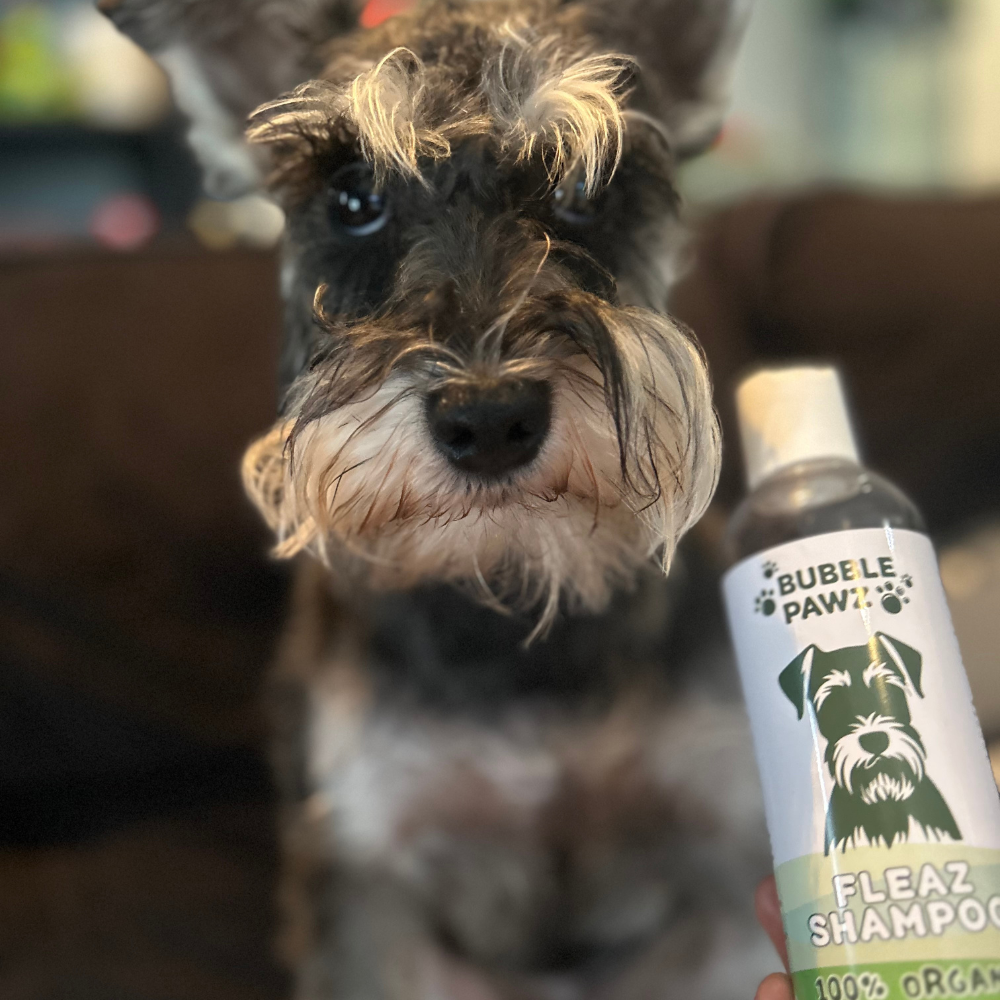 Natural & Organic Fleaz Shampoo with Essential Oils