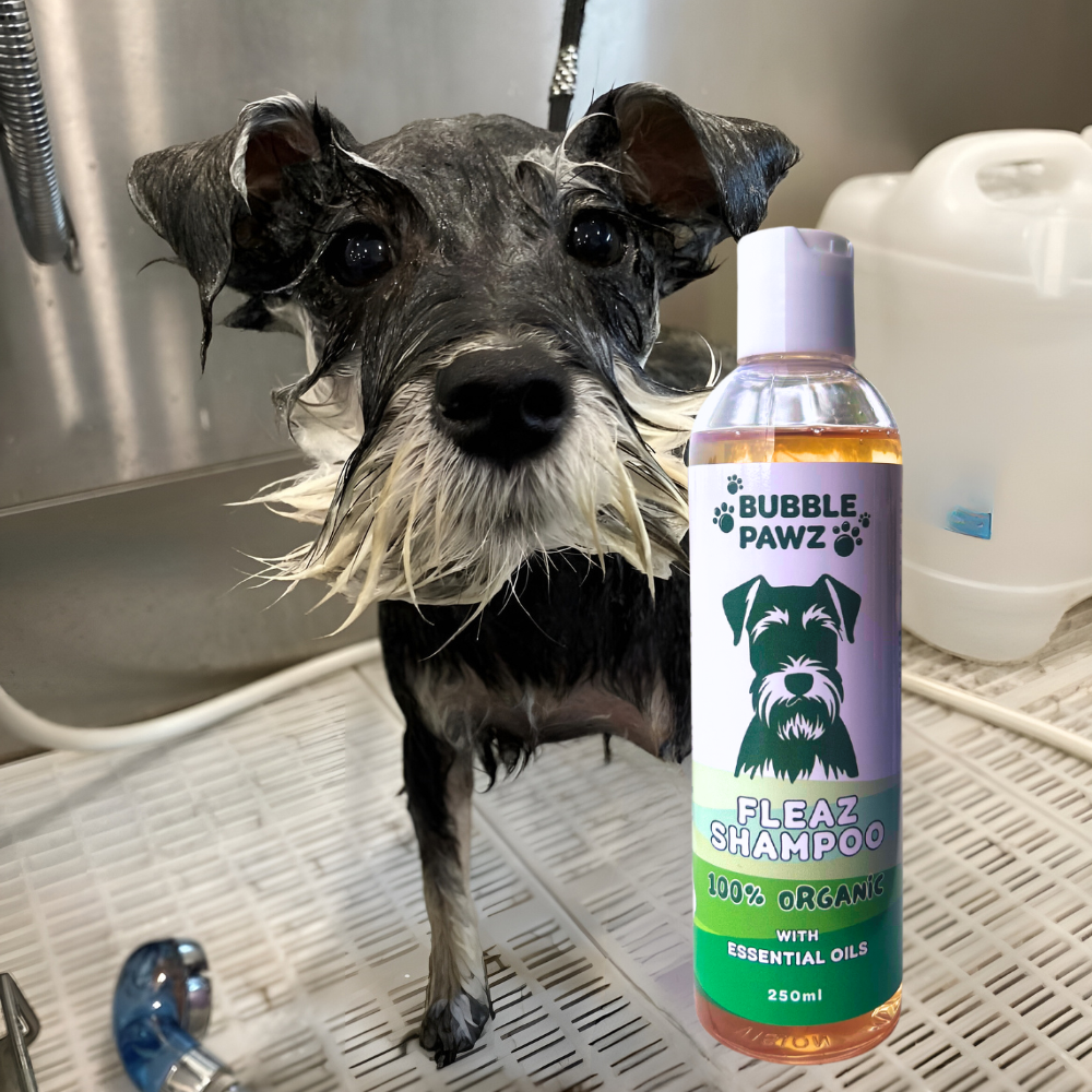 Natural & Organic Fleaz Shampoo with Essential Oils