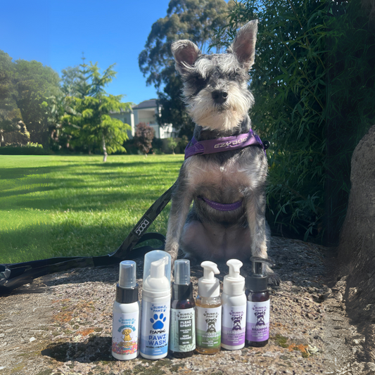 Dog Mini Travel Pack