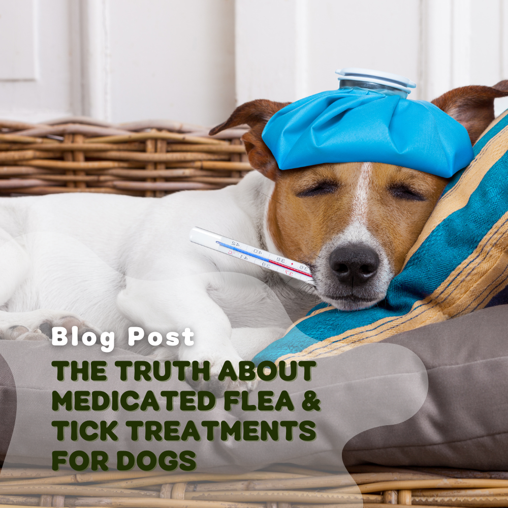 What is Medicated Flea and Tick Treatments for Dogs