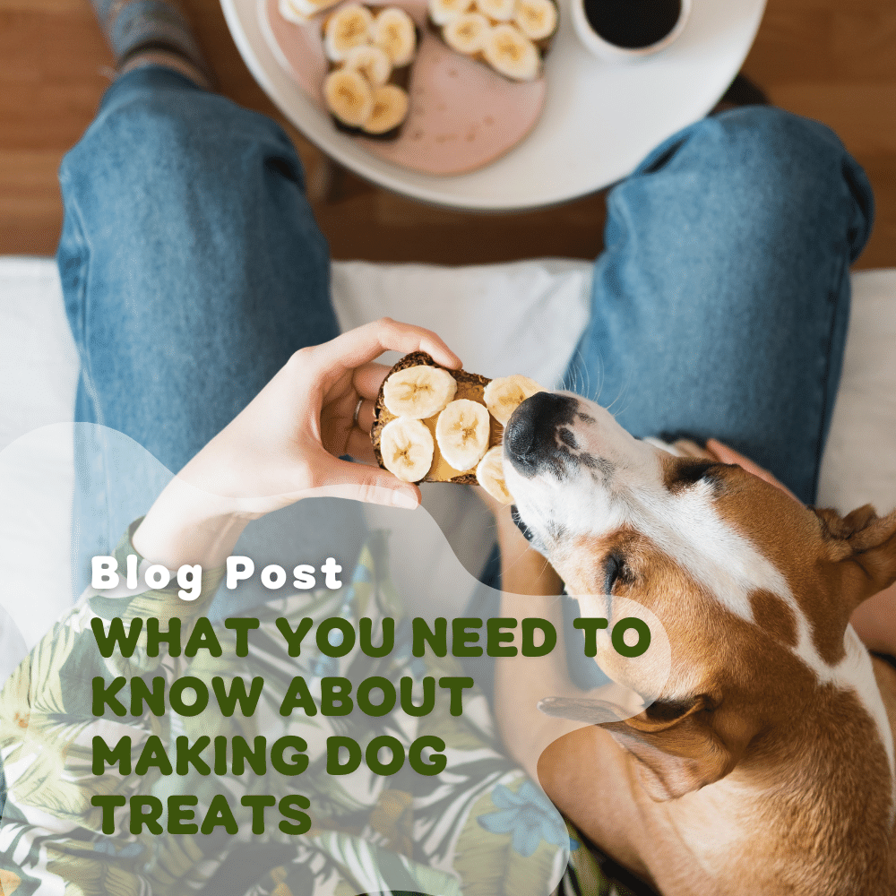 What You Need To Know About Making Dog Treats At Home