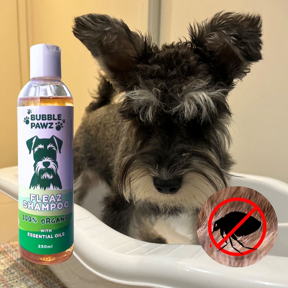 Dry flea shampoo for dogs best sale